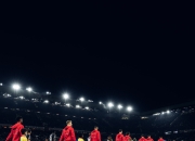 包含足球场上绿草茵茵，球员们奋力拼搏的词条