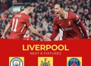 利物浦客场战平拜仁，晋级形势大好的简单介绍