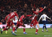 富勒姆主场逼平诺维奇，暂时拉开降级区距离的简单介绍